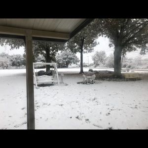 Meet your Posher, Tamara